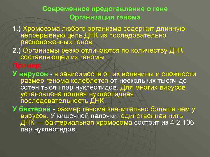 Современное представление о гене Организация генома 1. ) Хромосома любого организма содержит длинную непрерывную