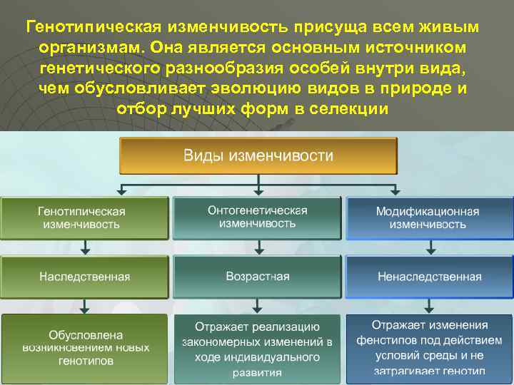 Примеры генотипической изменчивости и фенотипической изменчивости. Виды генотипической изменчивости. Виды фенотипической изменчивости. Значение генотипической изменчивости. Значение фенотипической изменчивости.