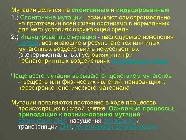 Мутации делятся на спонтанные и индуцированные 1. ) Спонтанные мутации - возникают самопроизвольно на