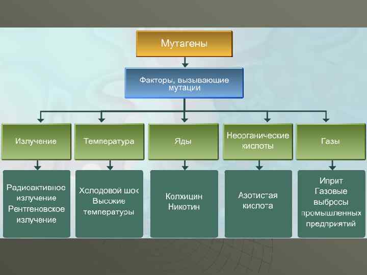 Виды мутаций фото