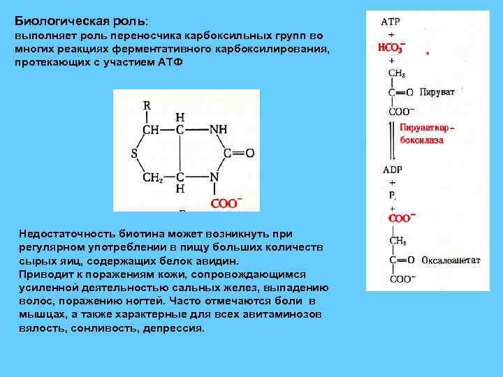 Что такое кофермент