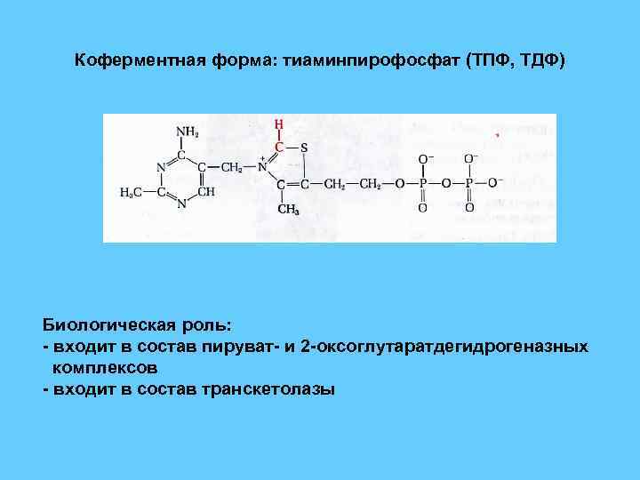 Коферментом витамина в2 является