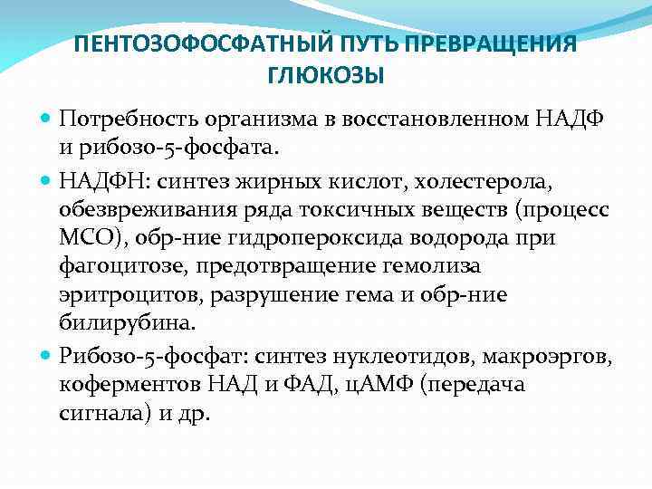 ПЕНТОЗОФОСФАТНЫЙ ПУТЬ ПРЕВРАЩЕНИЯ ГЛЮКОЗЫ Потребность организма в восстановленном НАДФ и рибозо-5 -фосфата. НАДФН: синтез