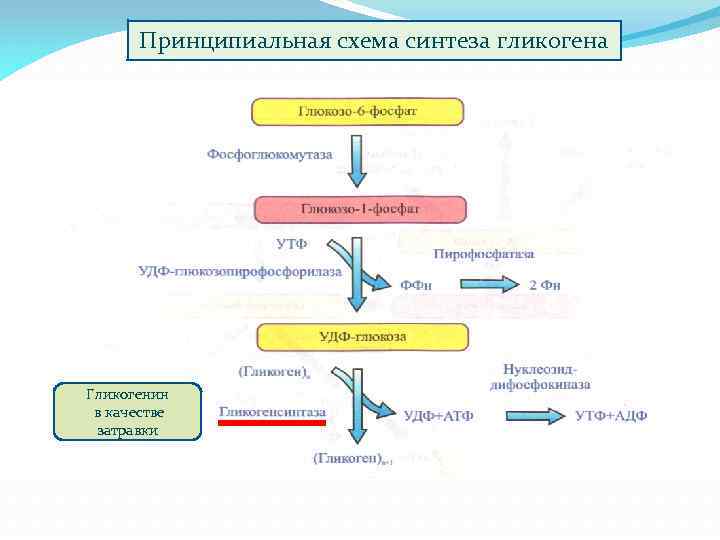 Первый искусственный синтез углеводов схема