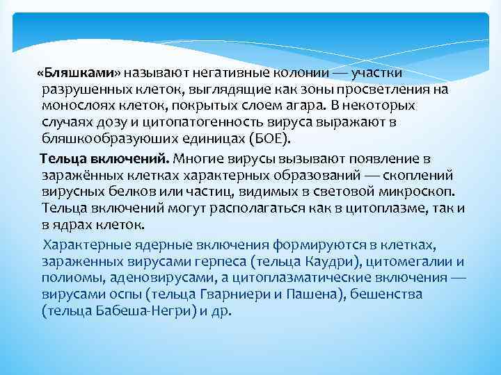  «Бляшками» называют негативные колонии — участки разрушенных клеток, выглядящие как зоны просветления на