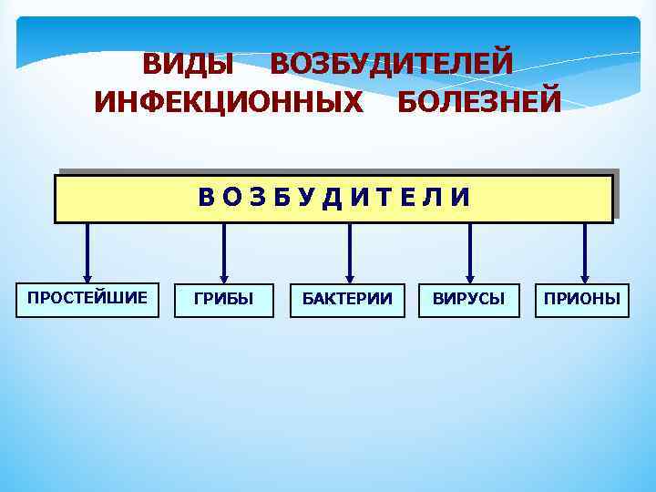 ВИДЫ ВОЗБУДИТЕЛЕЙ ИНФЕКЦИОННЫХ БОЛЕЗНЕЙ ВОЗБУДИТЕЛИ ПРОСТЕЙШИЕ ГРИБЫ БАКТЕРИИ ВИРУСЫ ПРИОНЫ 