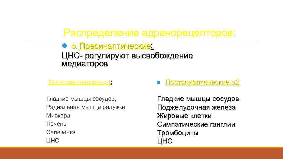 Распределение адренорецепторов: l Пресинаптические: ЦНС- регулируют высвобождение медиаторов Постсинаптические 2 Постсинаптические 1: n Гладкие