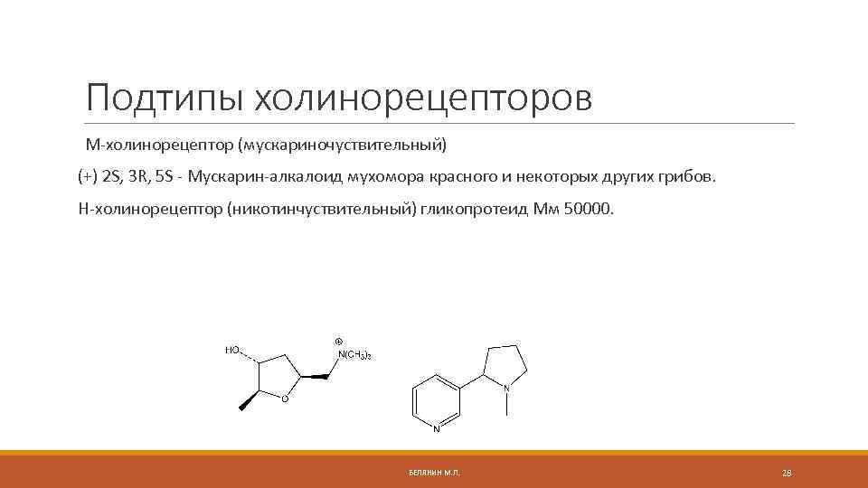 Подтипы холинорецепторов М-холинорецептор (мускариночуствительный) (+) 2 S, 3 R, 5 S - Мускарин-алкалоид мухомора