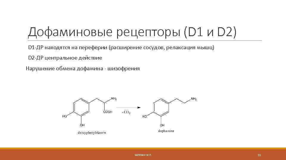 Дофаминовые рецепторы (D 1 и D 2) D 1 -ДР находятся на переферии (расширение