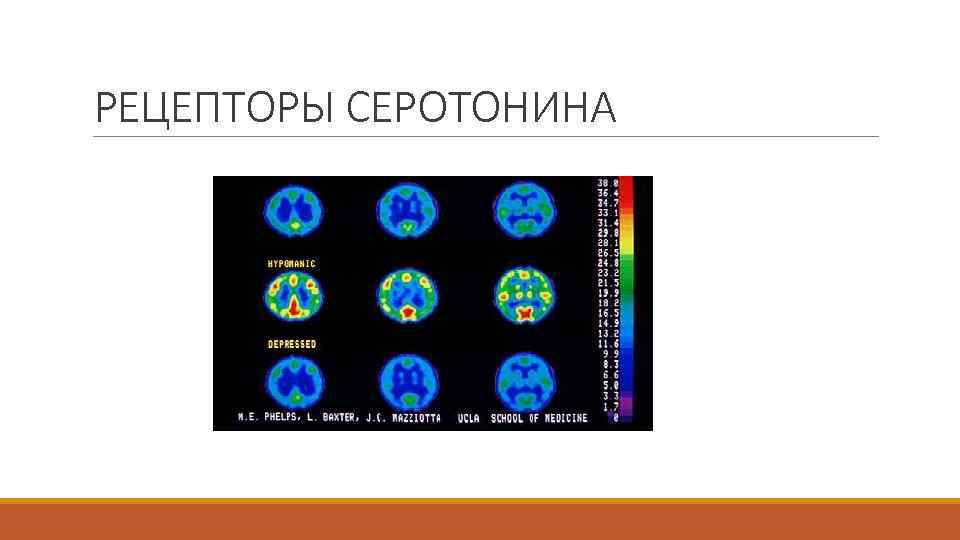 РЕЦЕПТОРЫ СЕРОТОНИНА 