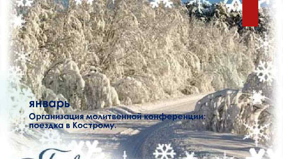 январь Организация молитвенной конференции: поездка в Кострому. 