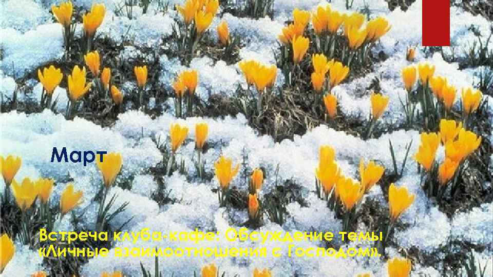 Март Встреча клуба-кафе: Обсуждение темы «Личные взаимоотношения с Господом» . 