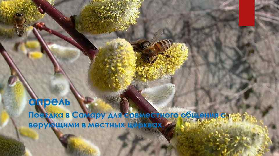 апрель Поездка в Самару для совместного общения с верующими в местных церквах. 