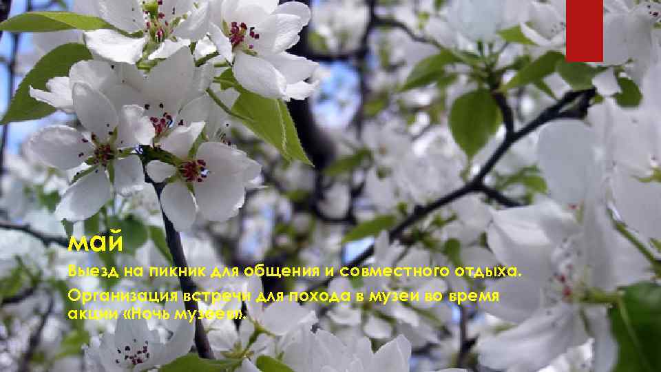 май Выезд на пикник для общения и совместного отдыха. Организация встречи для похода в