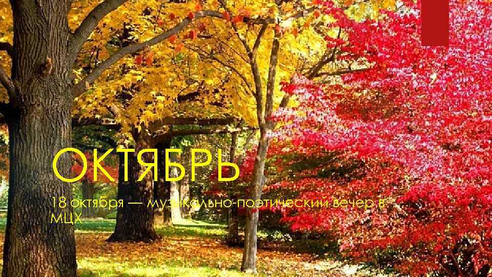 ОКТЯБРЬ 18 октября — музыкально-поэтический вечер в МЦХ 