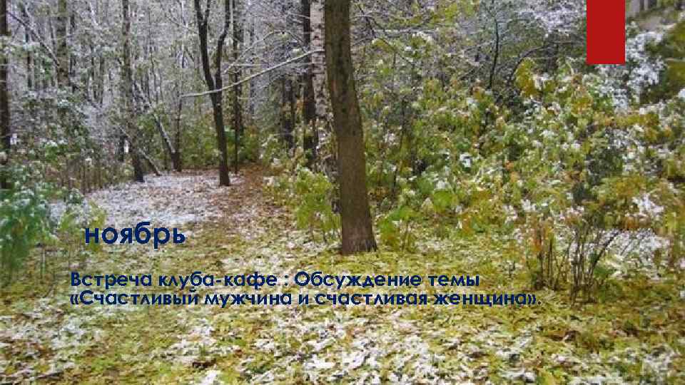 ноябрь Встреча клуба-кафе : Обсуждение темы «Счастливый мужчина и счастливая женщина» . 
