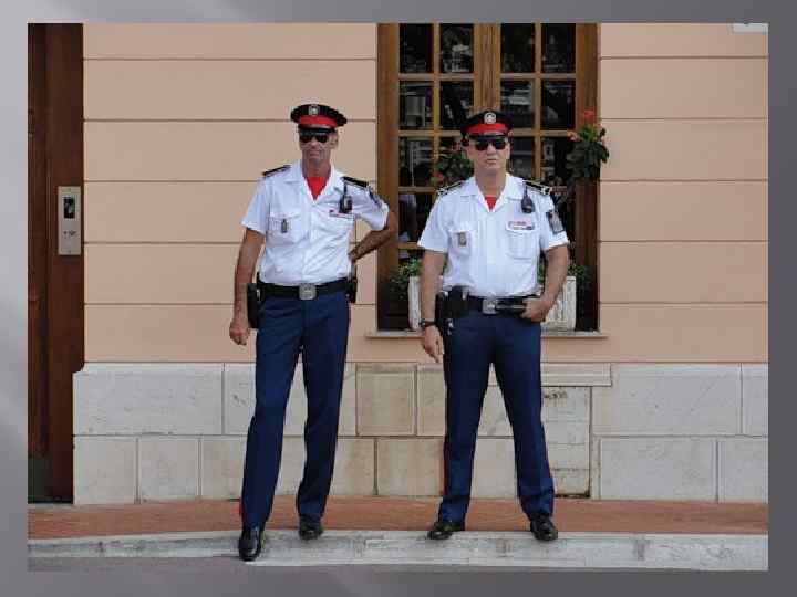 Никому не двигаться! 