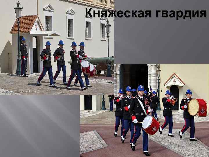 Княжеская гвардия 