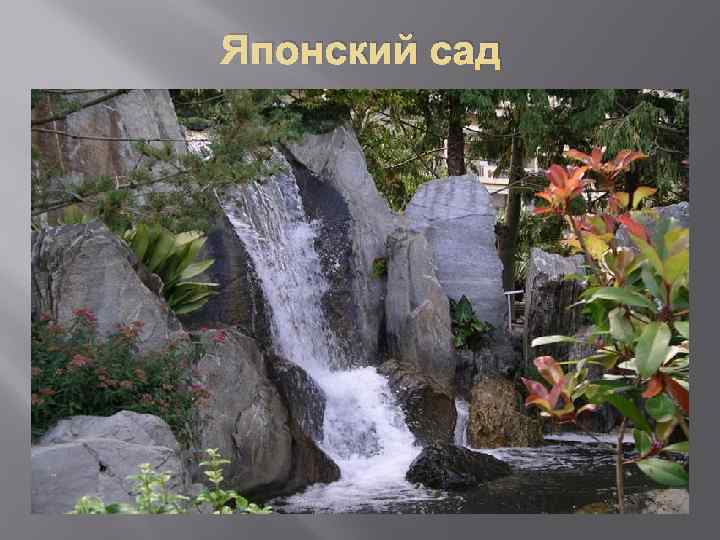 Японский сад 