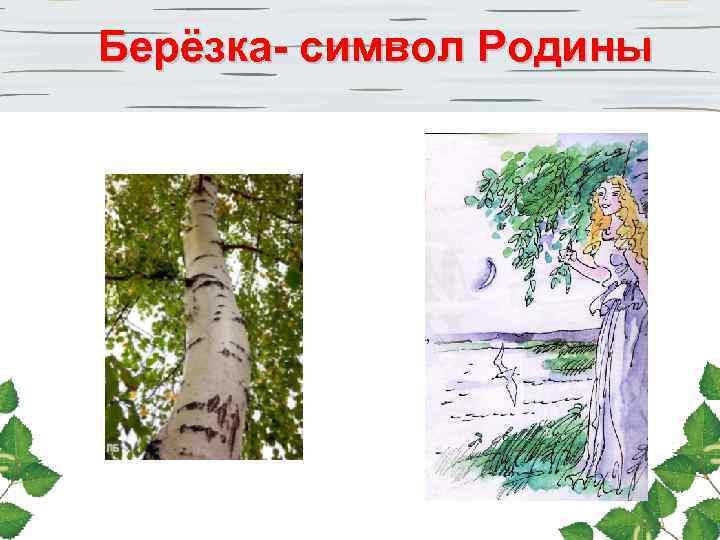Берёзка- символ Родины 