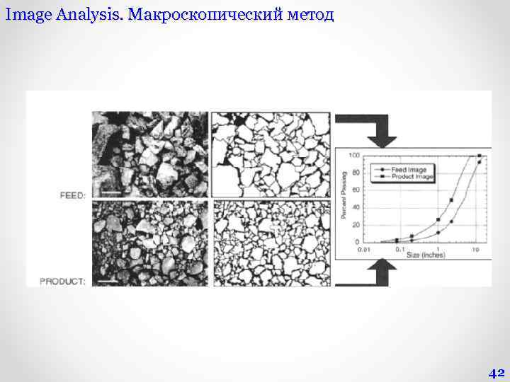 Image Analysis. Макроскопический метод 42 