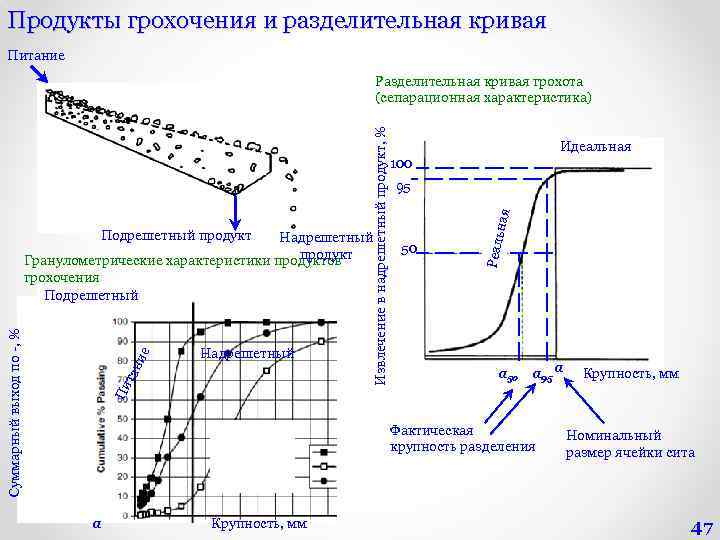 Продукты грохочения и разделительная кривая Питание Надрешетный продукт Гранулометрические характеристики продуктов Пи тан ие