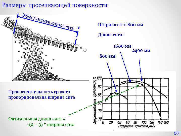 Размеры просеивающей поверхности Эфф екти вная дли н а сит а Ширина сита 800