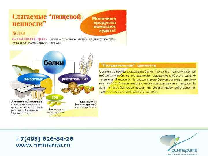 +7(495) 626 -84 -26 www. rimmarita. ru 