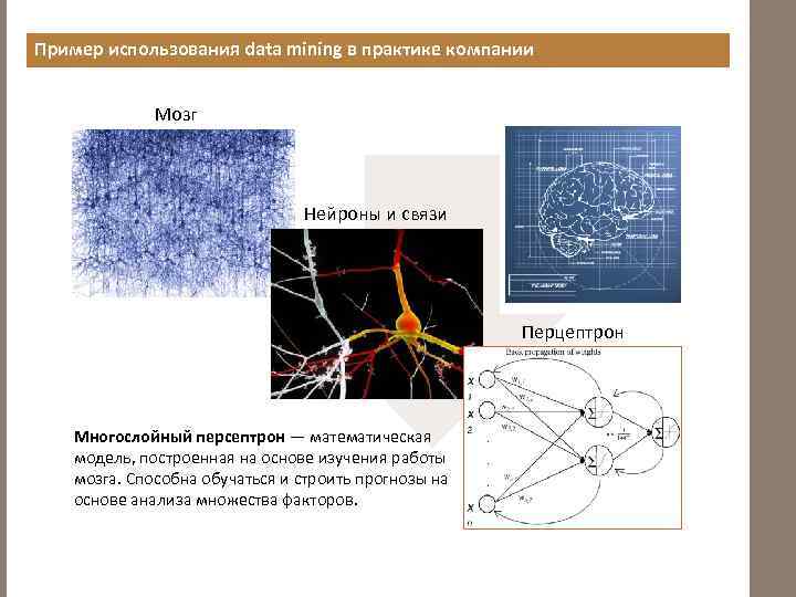 Пример использования data mining в практике компании Мозг Нейроны и связи Перцептрон Многослойный персептрон