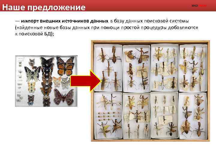 Наше предложение FINDTHEM — импорт внешних источников данных в базу данных поисковой системы (найденные