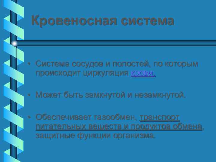 Кровеносная система • Система сосудов и полостей, по которым происходит циркуляция крови. • Может