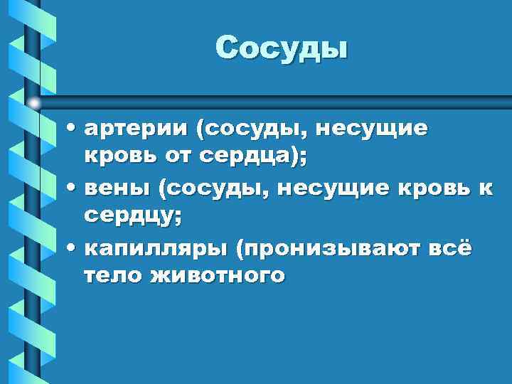 Сосуды • артерии (сосуды, несущие кровь от сердца); • вены (сосуды, несущие кровь к