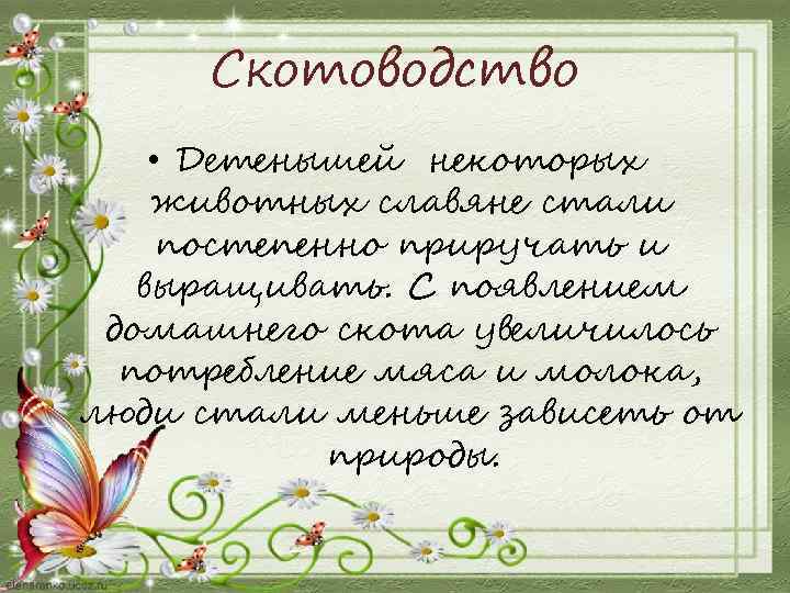 Скотоводство • Детенышей некоторых животных славяне стали постепенно приручать и выращивать. С появлением домашнего
