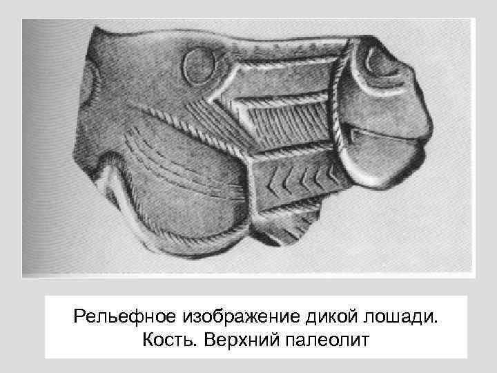 Рельефное изображение дикой лошади. Кость. Верхний палеолит 