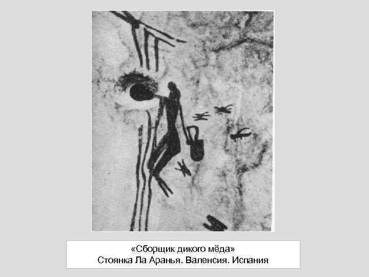  «Сборщик дикого мёда» Стоянка Ла Аранья. Валенсия. Испания 