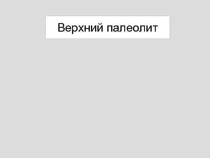 Верхний палеолит 