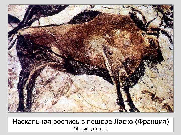 Наскальная роспись в пещере Ласко (Франция) 14 тыс. до н. э. 