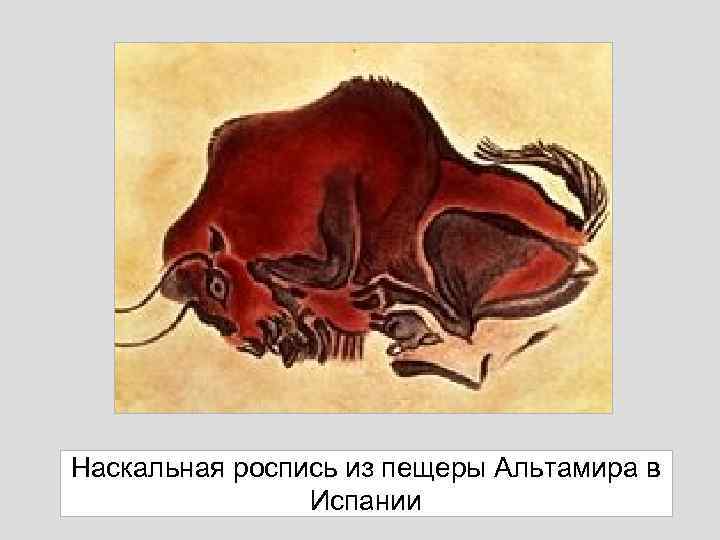 Наскальная роспись из пещеры Альтамира в Испании 