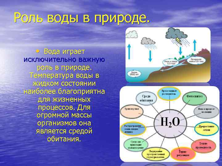 Характеристики воды 5 класс. Роль воды в природе и жизни человека кратко. Вода роль воды в природе. Значение воды в жизни человека. Значимость воды в жизни человека.