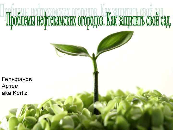 Гельфанов Артем aka Kertiz 