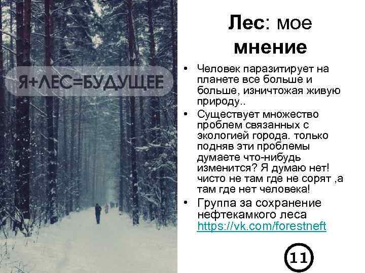 Лес: мое мнение • Человек паразитирует на планете все больше и больше, изничтожая живую