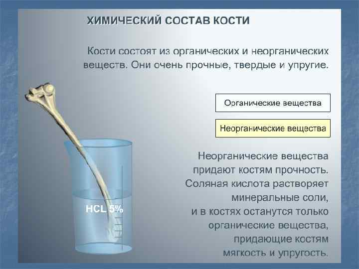 В эксперименте исследователь во время процесса отображенного на рисунке определял состав форменных