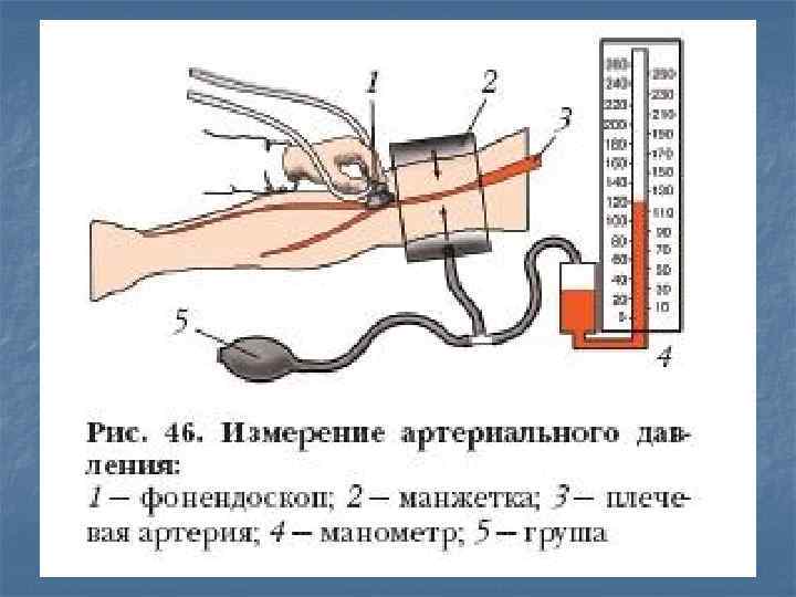 Измерительные по биологии 8 класс. Измерение артериального давления. Измерение кровяного давления. Артериальное давление 8 класс. Кровяное давление биология.