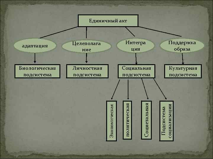 Единичный акт Личностная подсистема Социальная подсистема Культурная подсистема Подсистема социализации Поддержка образа Социетальная Интегра