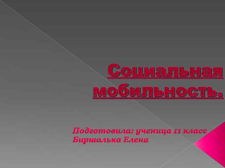 Социальная мобильность. Подготовила: ученица 11 класс Биршалька Елена 