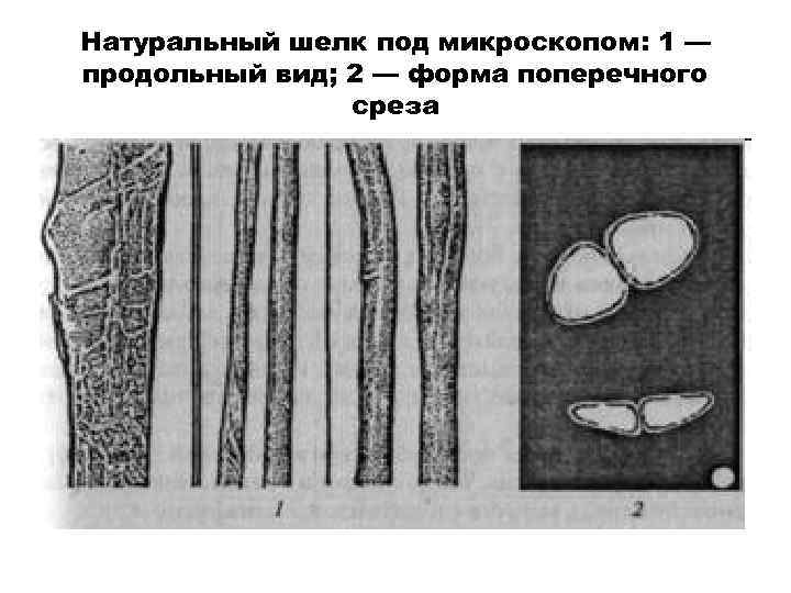 Натуральный шелк под микроскопом: 1 — продольный вид; 2 — форма поперечного среза 