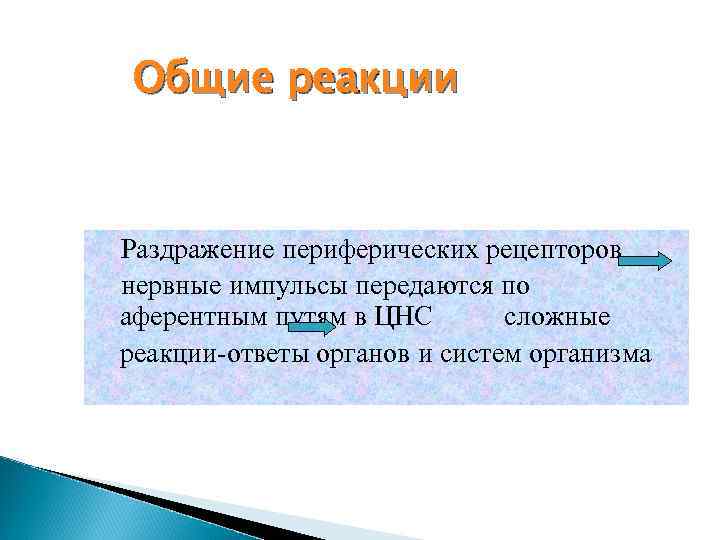 Общие реакции Раздражение периферических рецепторов нервные импульсы передаются по аферентным путям в ЦНС сложные