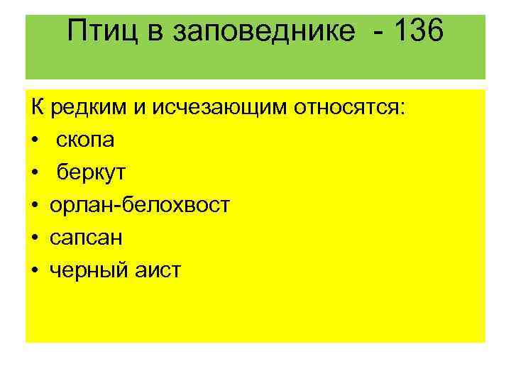 Птиц в заповеднике - 136 К редким и исчезающим относятся: • скопа • беркут