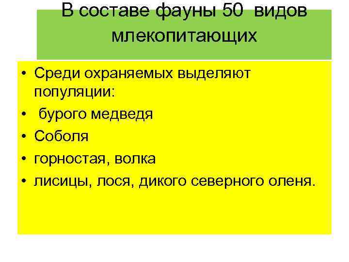 В составе фауны 50 видов млекопитающих • Среди охраняемых выделяют популяции: • бурого медведя