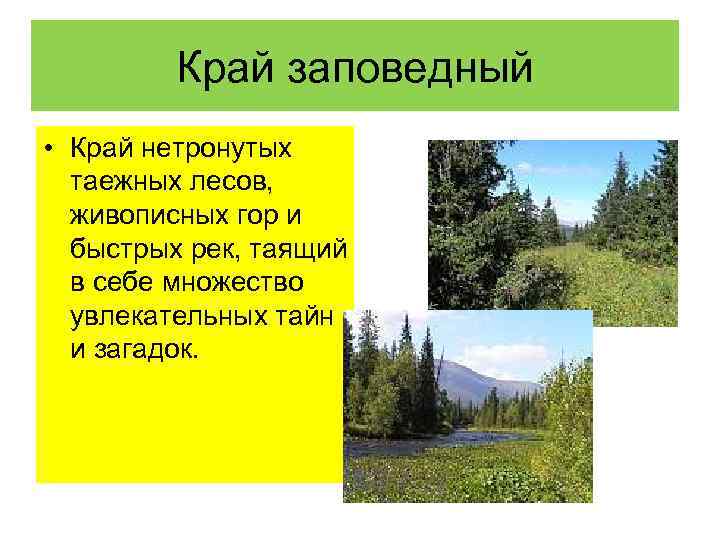 Край заповедный • Край нетронутых таежных лесов, живописных гор и быстрых рек, таящий в